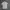Lacoste Streetwear Casual Polo shirt Pria cream photo 1