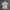 Lacoste Streetwear Casual Polo Shirt Pria Cream