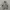 Nike Luxury Casual Sweater Pria white gray photo 1