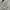 Nike Luxury Casual Sweater Pria white gray photo 4