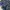 Fairy Coquette Skirt Wanita navy photo 4