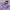 Oioi Y2K Casual Sweater Pria purple black photo 2
