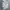 Covernat Casual Sweater Pria multicolor photo 6
