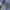 Versace Luxury Casual Boyfriend jeans Wanita navy photo 3