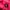 The North Face Gorpcore Parka Pria red pink photo 5