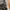 Champion Streetwear Sportswear Tracksuit Pria white black photo 4