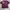 Affection Los Angeles Y2K Skater T-shirt Pria multicolor burgundy photo 2