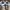 Nike Futurist Sneakers Pria white navy photo 3