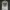 Buckaroo Grunge Goth Sweatshirt Pria White