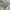 Streetwear Jeans Pria gray blue photo 3