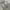 Streetwear Jeans Pria gray blue photo 5