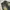 Y2K Jeans Pria black yellow photo 2