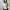 Y2K Minimalist Crop top Wanita white photo 1