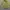 Luxury Minimalist Puffer jacket Wanita cream yellow photo 1