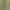 Luxury Minimalist Puffer jacket Wanita cream yellow photo 2