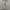 Sportswear Minimalist Leather jacket Pria white photo 1
