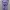 Coquette Minimalist Wanita purple photo 2