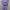 Coquette Minimalist Wanita Purple