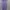 Coquette Minimalist Wanita purple photo 1