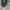 Coquette Minimalist Wanita green photo 2