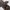 Japanese brand Vintage Pria brown photo 5