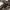 Japanese brand Vintage Pria brown photo 6