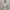 Coquette Casual Bodycon dress Wanita multicolor photo 2