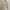 Coquette Casual Bodycon dress Wanita multicolor photo 1
