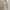 Coquette Casual Bodycon Dress Wanita Multicolor