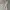 Coquette Casual Bodycon dress Wanita multicolor photo 4