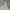 Coquette Casual Bodycon dress Wanita multicolor photo 3