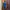 Montbell Sportswear Casual Jersey Pria blue photo 2