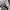 Polo Ralph Lauren Luxury Casual Polo shirt Pria white black photo 4