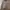 Stussy Vintage Streetwear Short Pria khaki photo 4