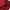 Marlboro Gorpcore Windbreaker Pria red photo 4