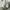 Adidas Futurist Sneakers Pria silver photo 6