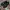 Vintage Streetwear Loafer Pria black photo 1