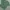 Carhartt Streetwear Y2K T-shirt Pria green photo 2