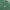 Carhartt Streetwear Y2K T-shirt Pria green photo 3