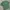 Carhartt Streetwear Y2K T-shirt Pria green photo 4