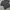 Carhartt Streetwear Y2K T-shirt Pria multicolor photo 3