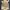 WHO.A.U Streetwear Casual Bag Pria cream photo 7