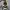 WHO.A.U Streetwear Casual Bag Pria cream photo 6