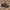 Nike Gorpcore Sportswear Sneakers Pria black photo 1