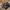 Nike Gorpcore Sportswear Sneakers Pria black photo 2