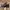 Nike Gorpcore Sportswear Sneakers Pria black photo 5