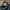 Nike Gorpcore Sportswear Sneakers Pria black photo 4
