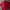 Guy Laroche Minimalist Casual Formal shirt Pria red photo 4