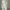 OLIVE Des OLIVE Luxury Cardigan Wanita Cream