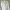 OLIVE des OLIVE Luxury Cardigan Wanita cream photo 3